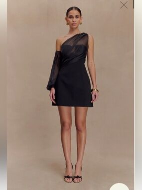 NWT Meshki Effie Dress